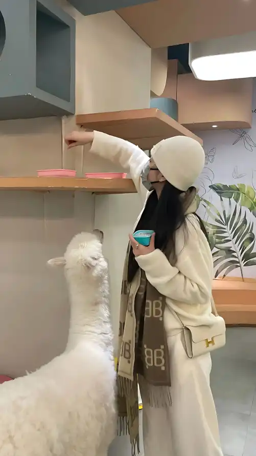 亚洲国产精品一区二区成人片_特别黄的视频免费播放一级毛片高清视频免费观看_久久中文字幕